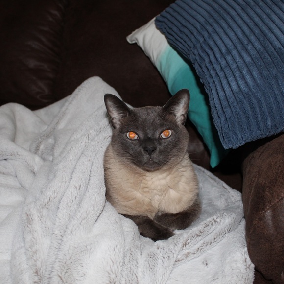 Welcome to my Closet/Boutique โฎ๏ธ๐ - Picture 5 of 7